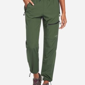 Laureate UPF50+ DWR Hiking Pants (Petite)